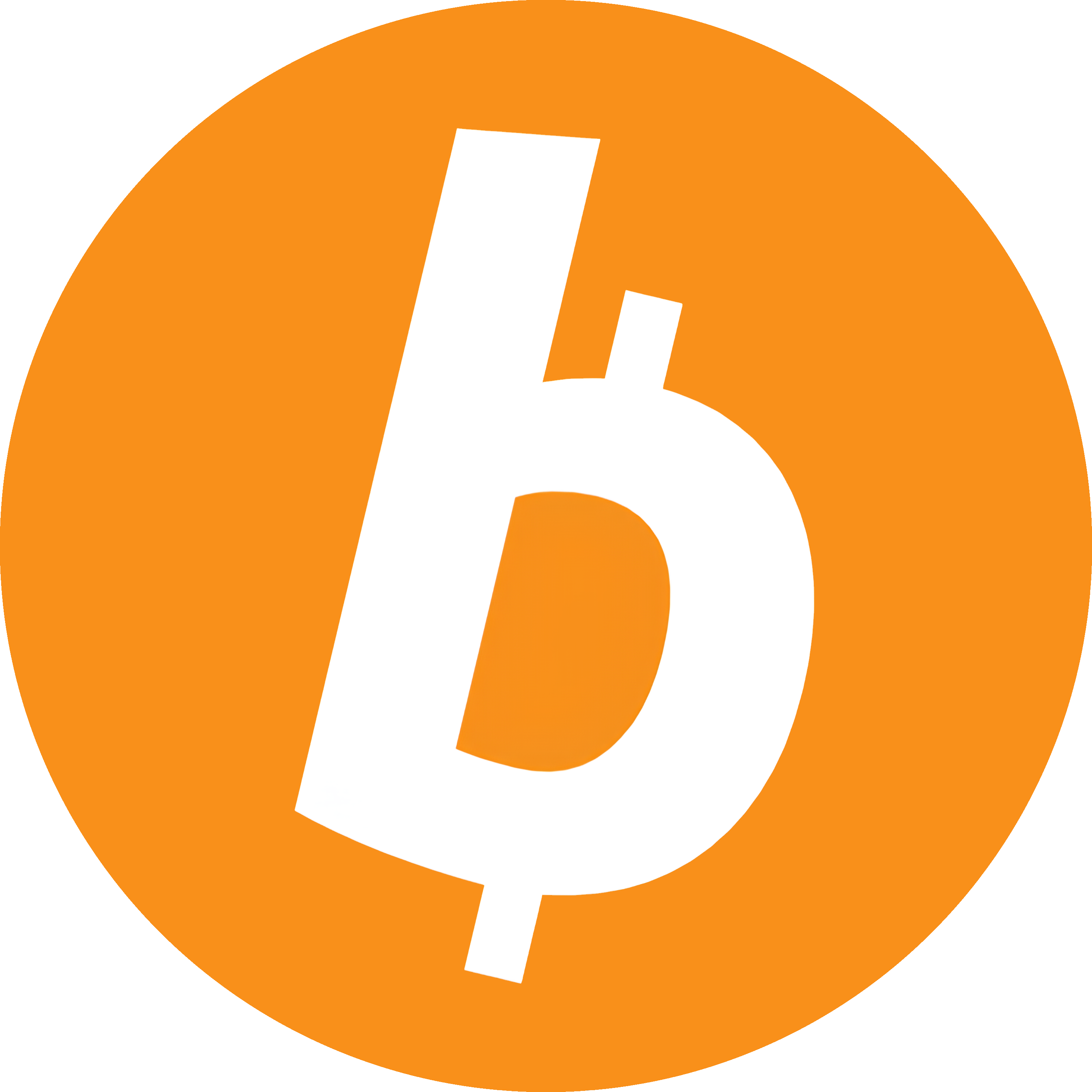 B1T Logo
